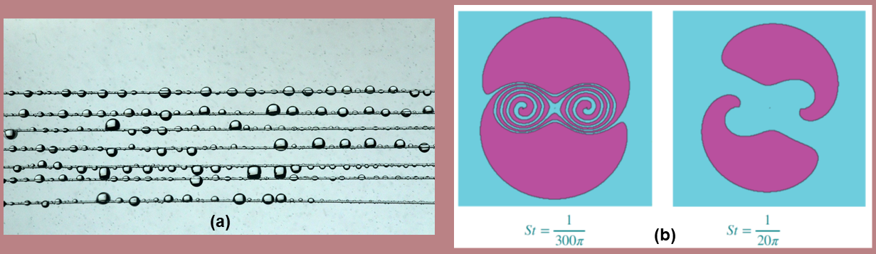 (a) Capturing drops with fibres by Camille Duprat; (b) Basins of attraction for heavy particles near a vortex pair as a function of Stokes number by Rama Govindarajan