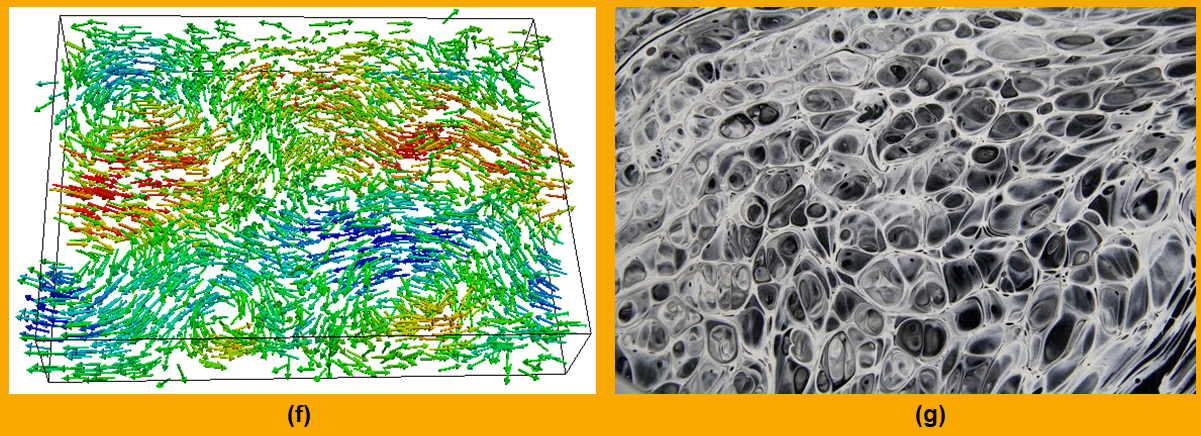 (f) Active turbulence by Julia Yeomans; (g) Instabilities in artistic paintings by Roberto Zenit